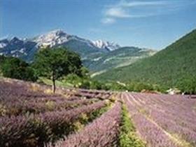 Camping Le Bois de Madelies