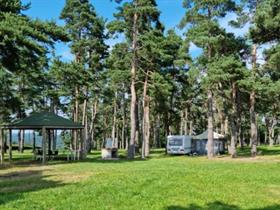 Camping de Mon Village de d'Allegre La Pinede