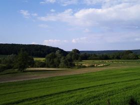 Camping Municipal Le Paquis