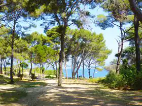 Camping Olbia