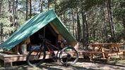planter Indrukwekkend tarwe Forum: anwb blaaspijpjes | Camping-Frankrijk.nl